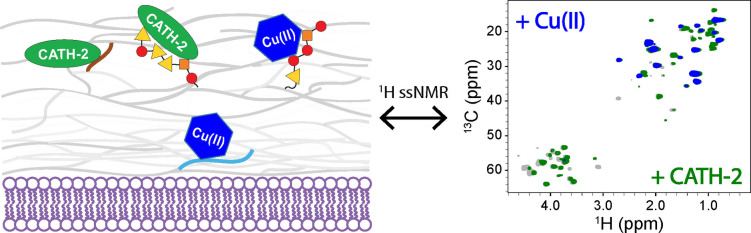 graphic file with name CHEM-29-0-g001.jpg