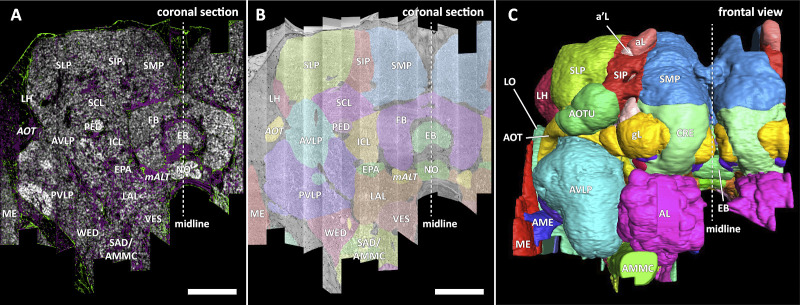 Figure 6.