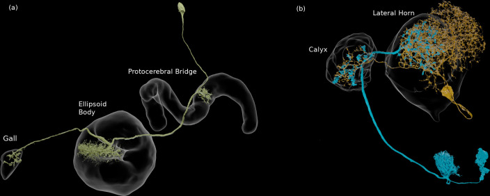 Figure 24.