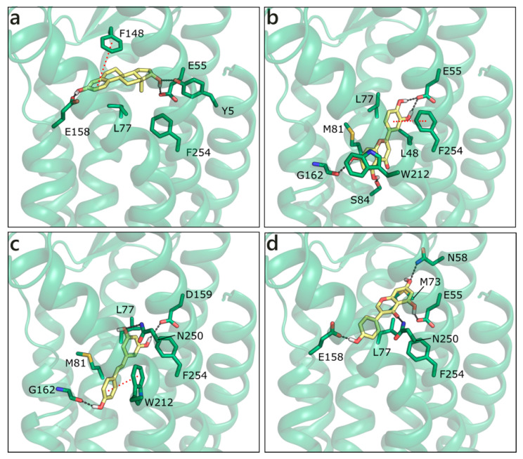 Figure 12