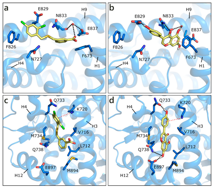 Figure 5