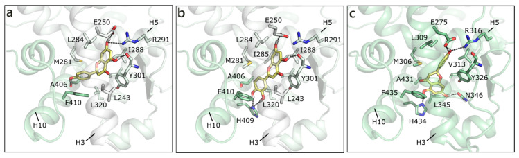 Figure 7