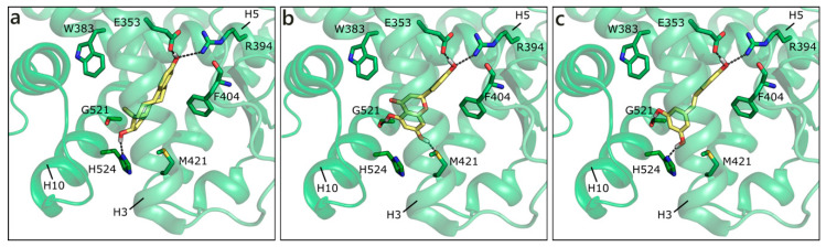 Figure 6