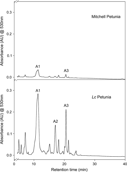 Fig. 3.