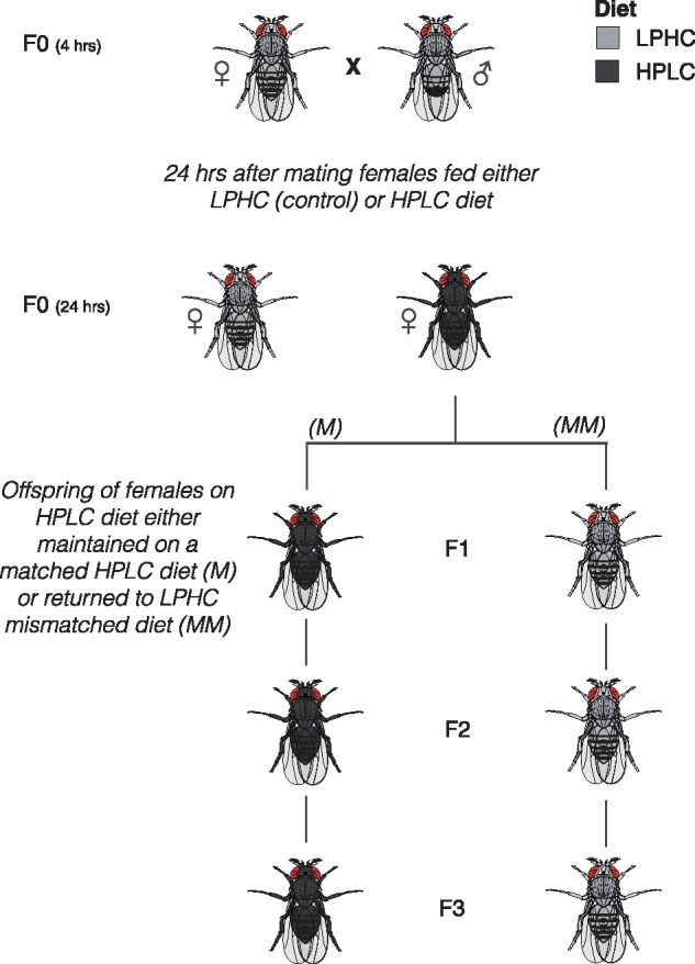 Figure 1: