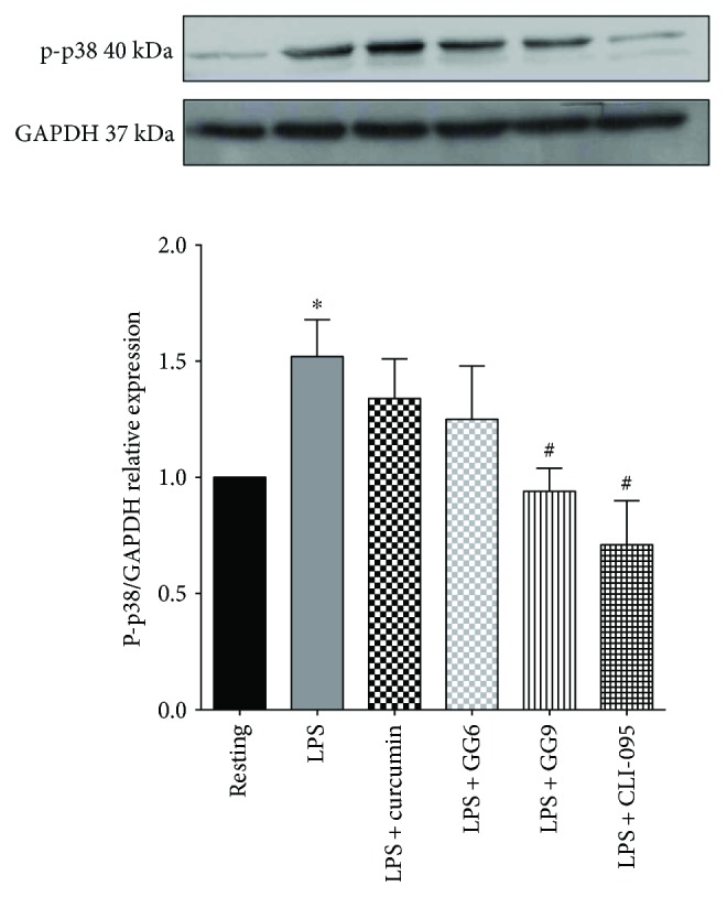 Figure 5