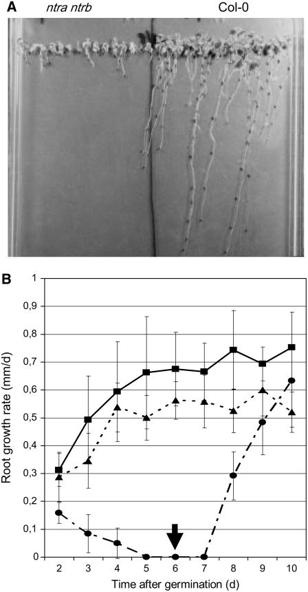 Figure 5.