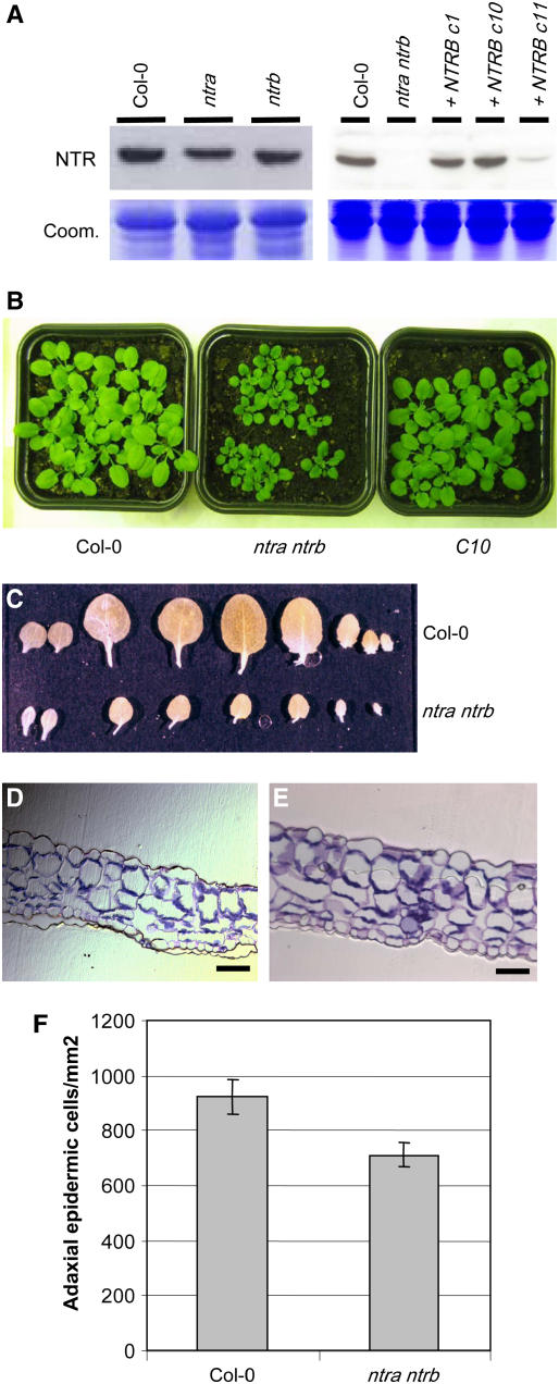 Figure 2.