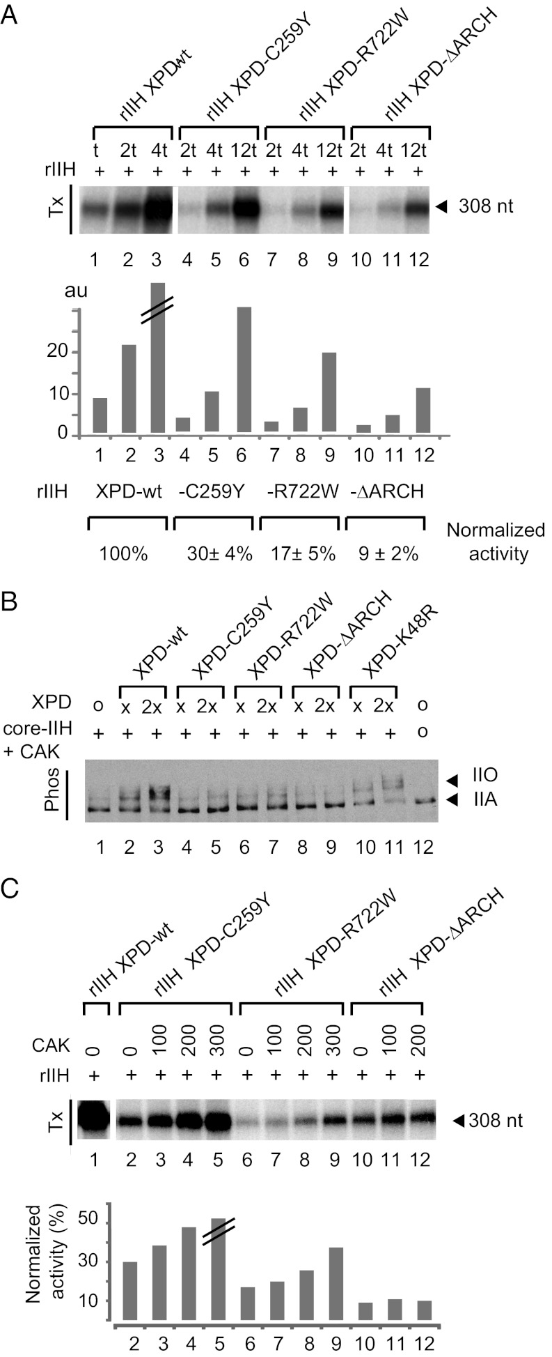 Fig. 3.