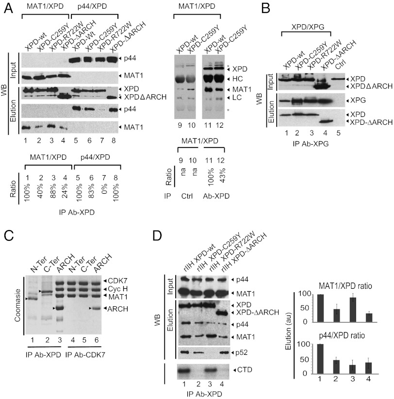 Fig. 4.