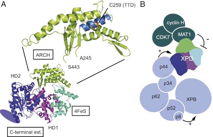 Fig. 6.