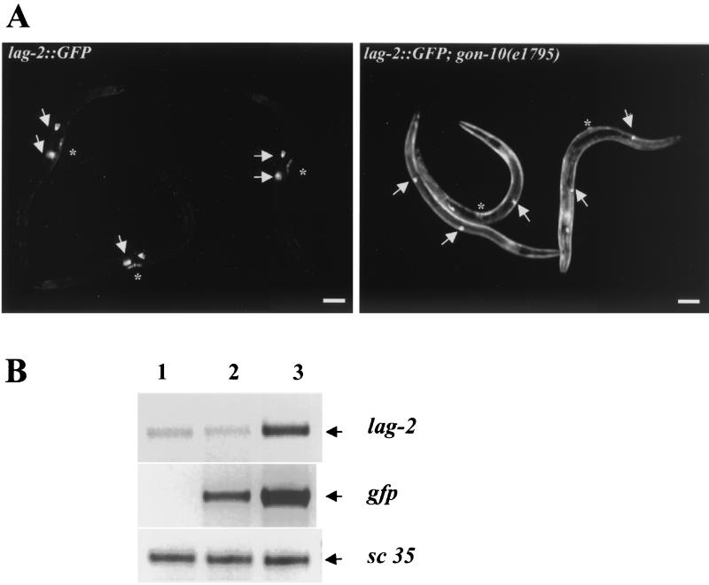 FIG. 6.