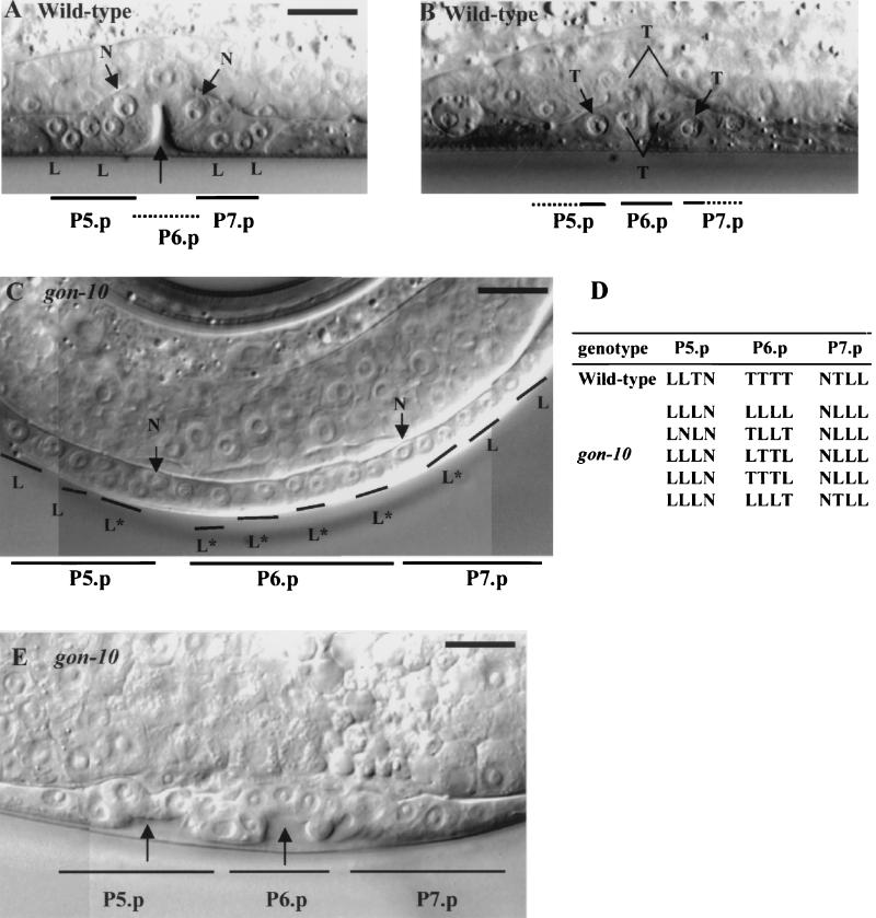 FIG. 5.