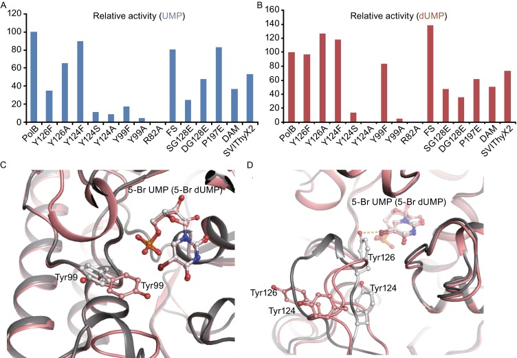 Figure 6