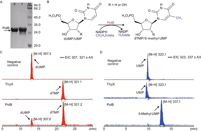 Figure 3