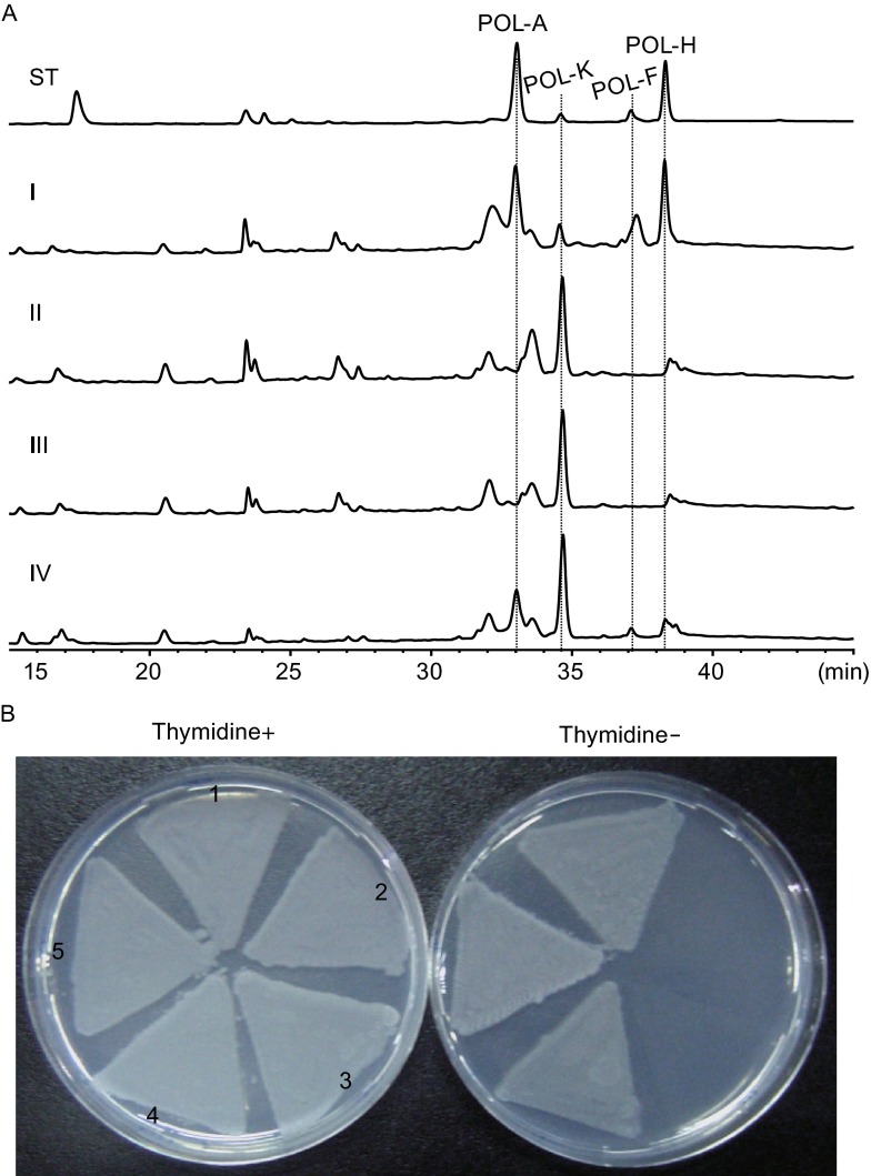 Figure 2