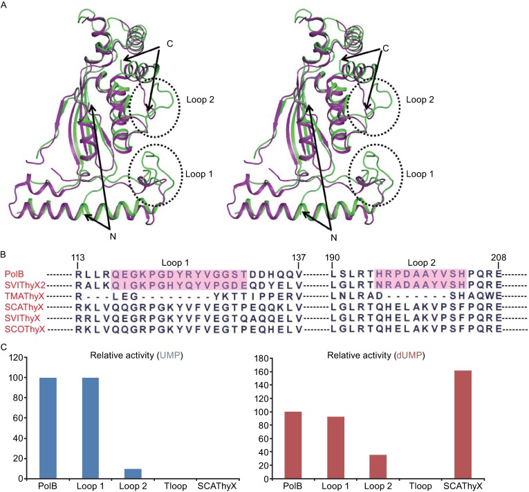 Figure 4