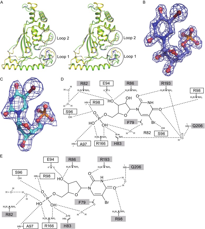 Figure 5