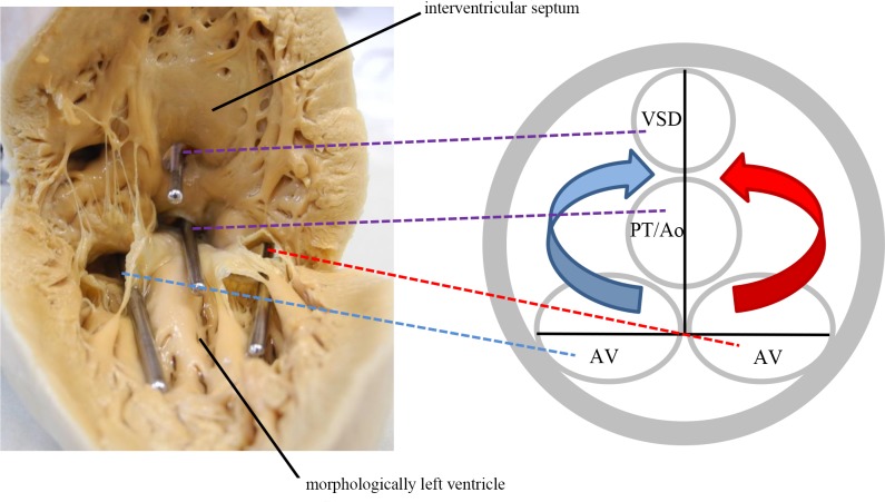 Fig 4