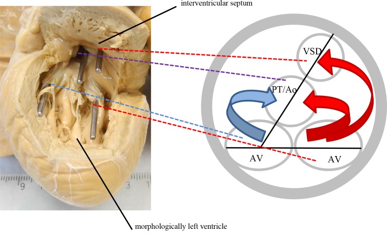 Fig 3