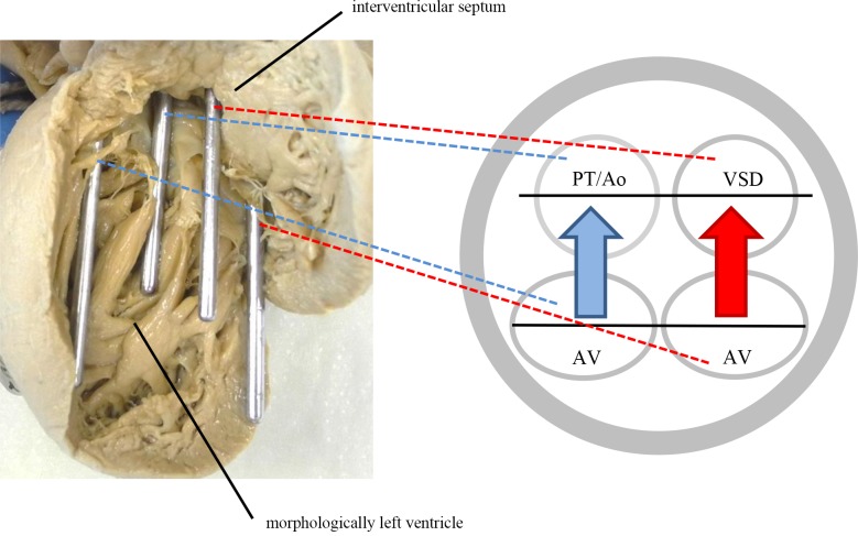 Fig 2