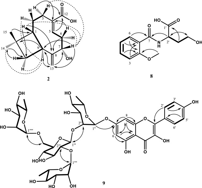 Fig. 2