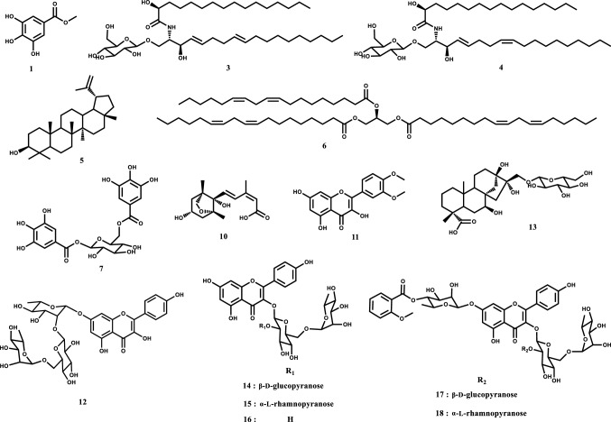 Fig. 1