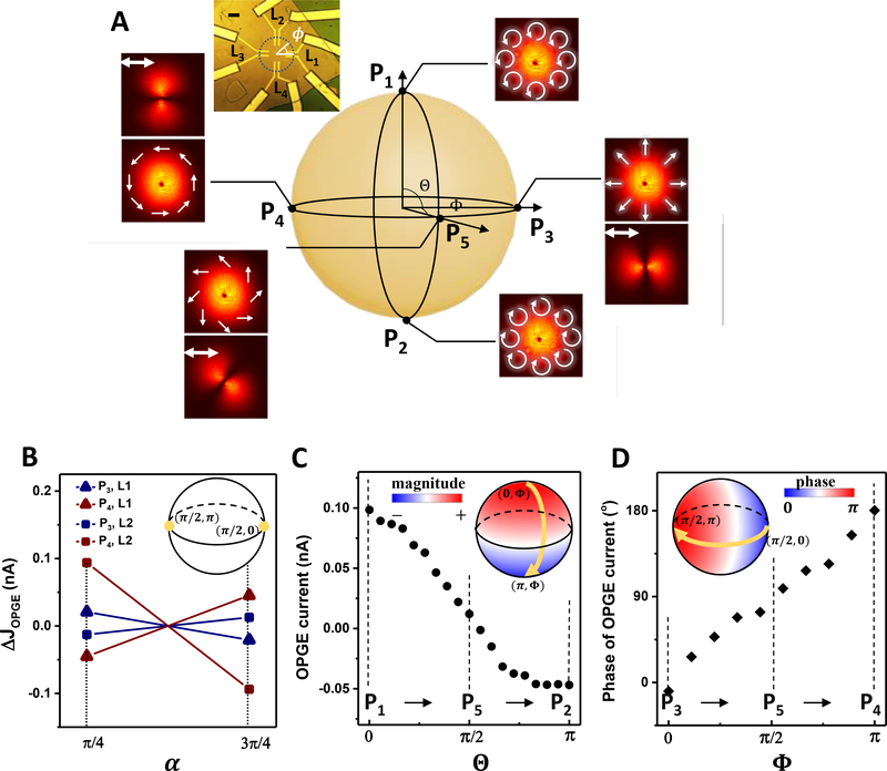 Figure 3: