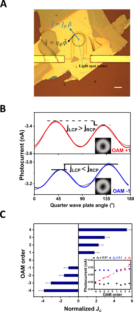 Figure 2: