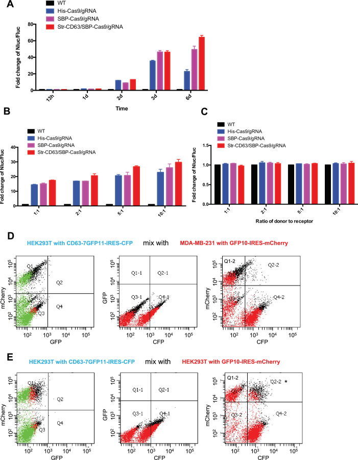 Figure 2—figure supplement 1.