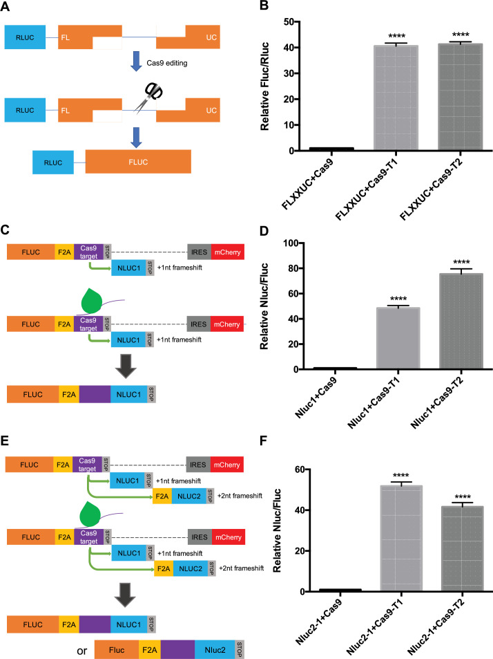 Figure 1—figure supplement 2.