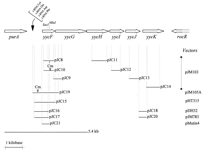 FIG. 1