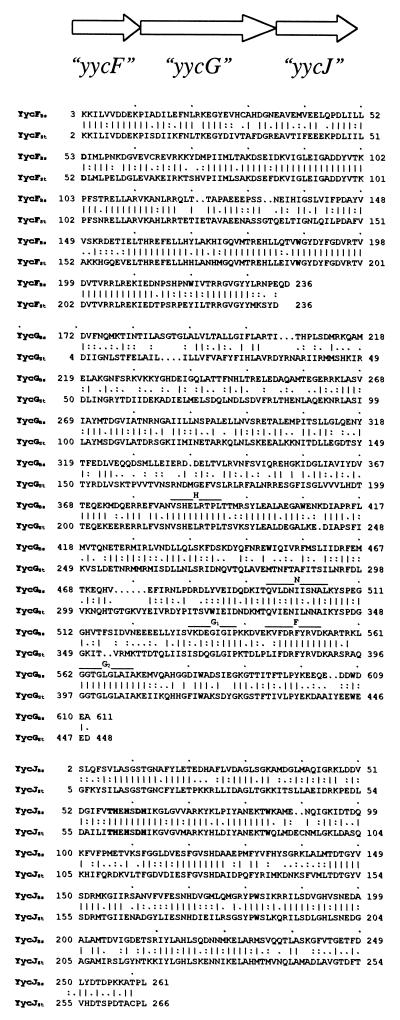 FIG. 7