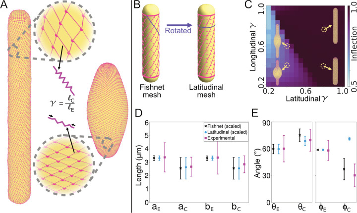 FIG. 2.