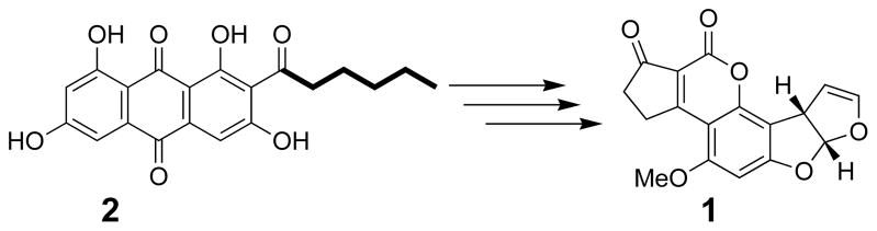 Scheme 1