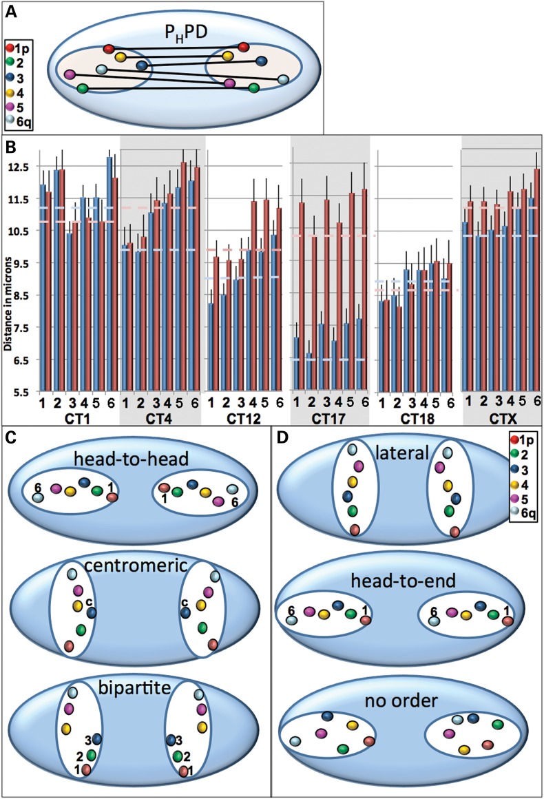 Figure 4.