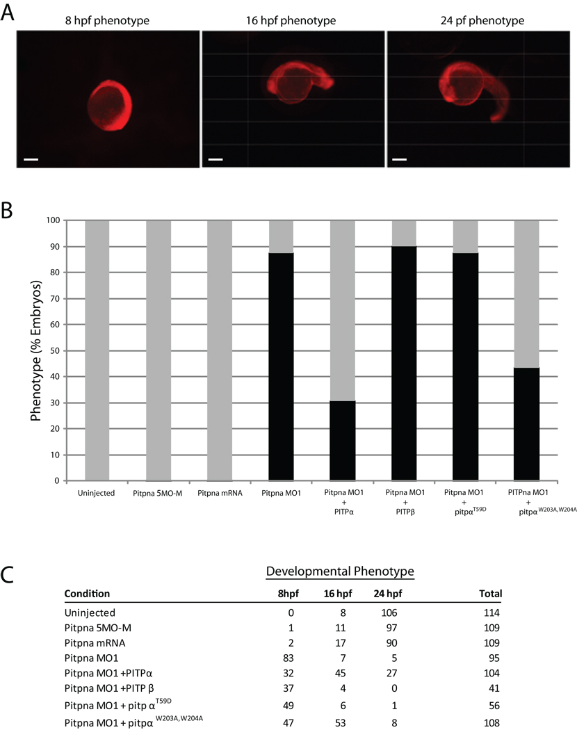 Fig. 9