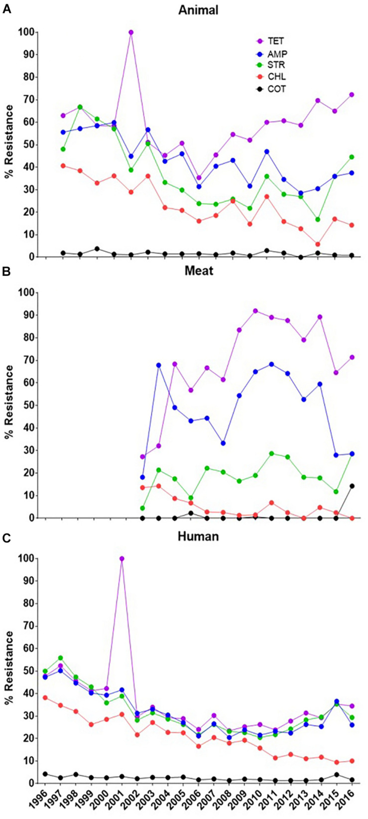 FIGURE 1