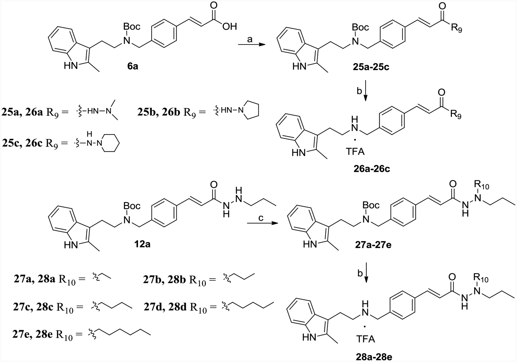 Scheme 5.