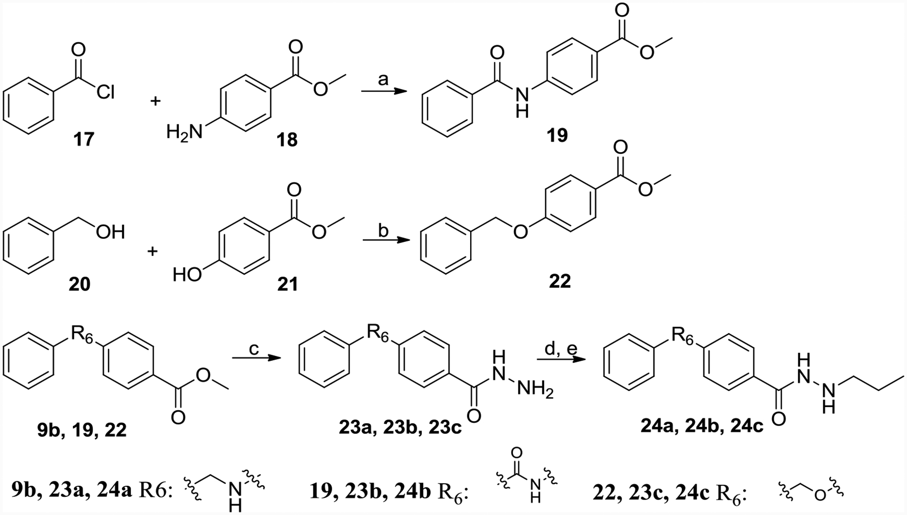 Scheme 4.