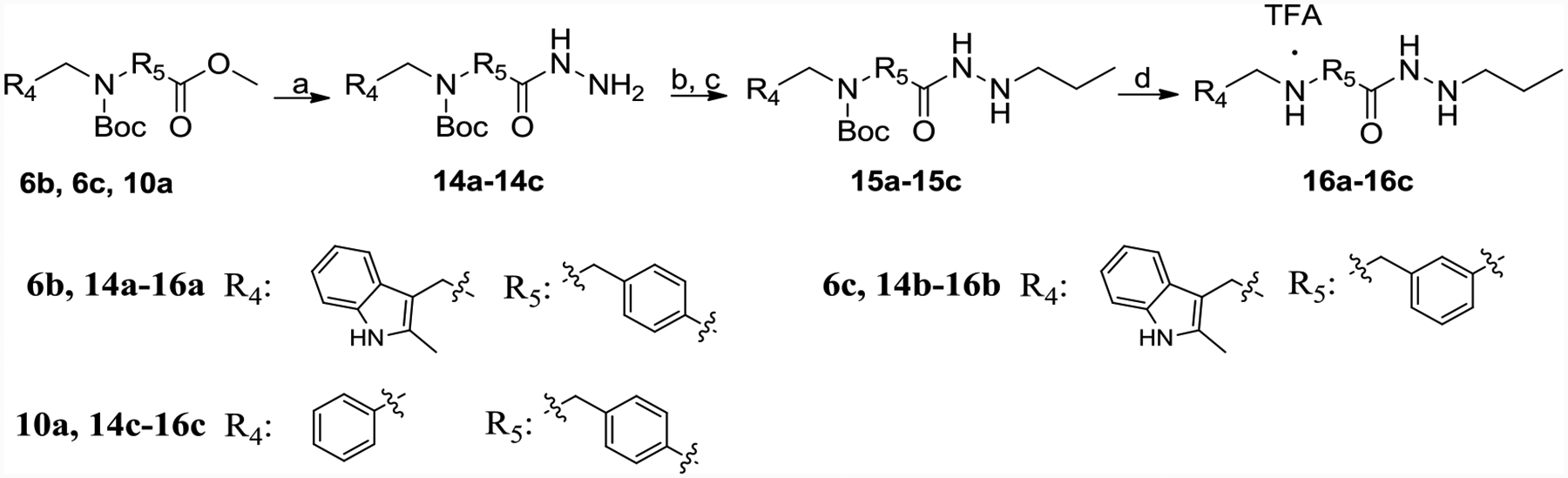 Scheme 3.