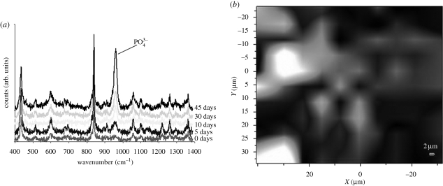 Figure 6.