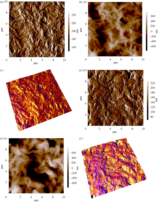 Figure 2.