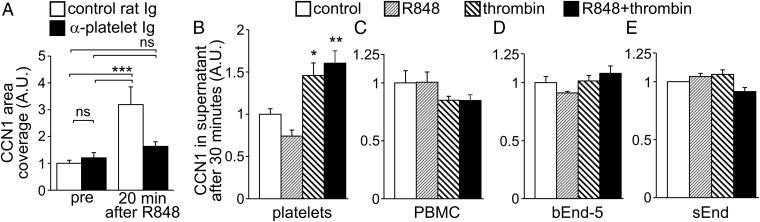 Fig. 7.