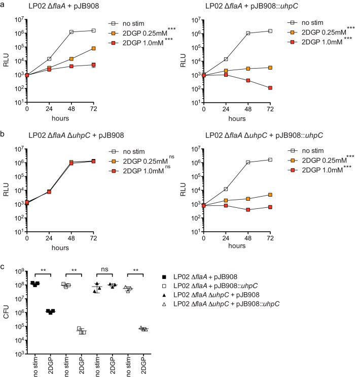 FIG 6