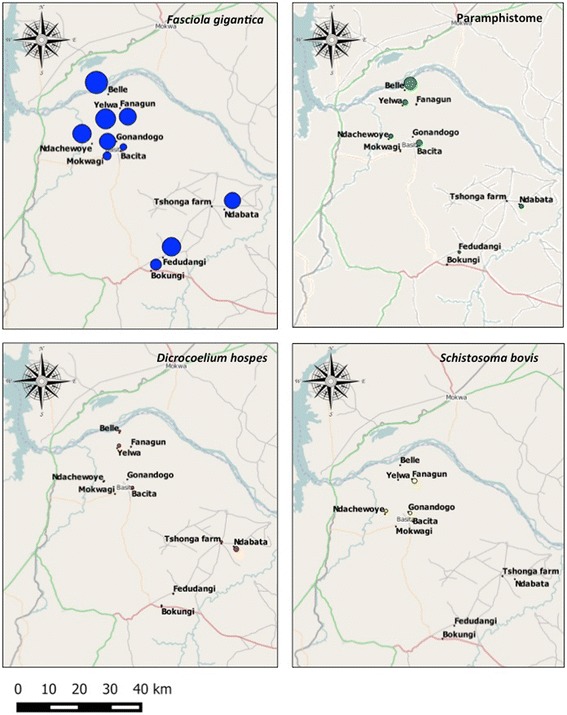 Fig. 3