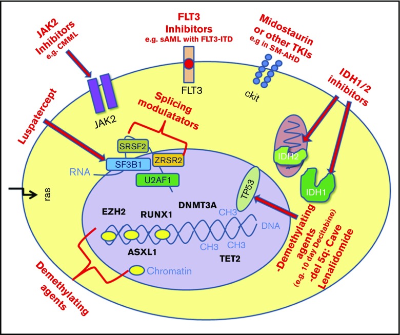 Figure 2.