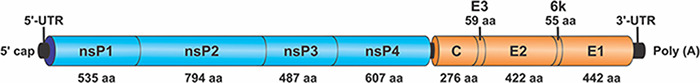 Figure 2.