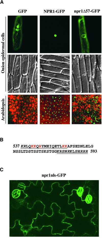 Figure 3.