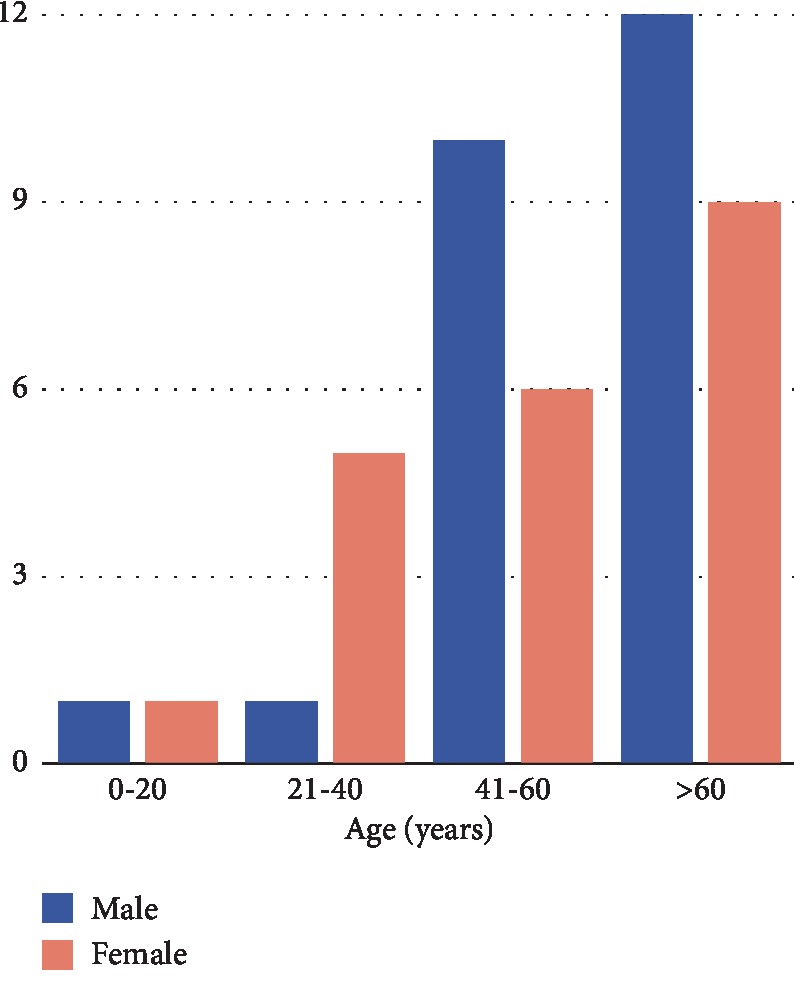 Figure 13